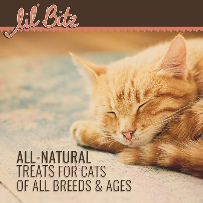 Lil' Bitz training Treats for Cats (1 Pack, All Cat Sizes - Salmon & Liver)