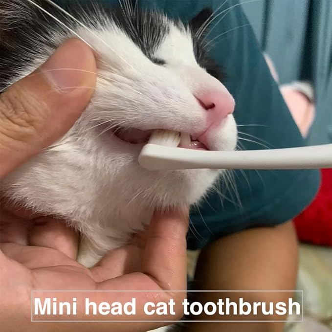 6 Pcs Cat Toothbrush Kitten Toothbrush with Micro Head to fit into Cat/Kittens Mouth, Cat Teeth Cleaning Brushes, Kitty Dental Care Supplies for Cats Pet, Eliminates Bad Breath & Gap Cleaning