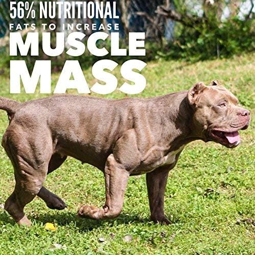 MVP K9 Formula Mass Weight Gainer for Dogs - Helps Promote Healthy Weight Gain, Size and Muscle in Dogs - Great for Skinny, Underweight, Picky Eaters. All Breed Formula, Made in USA (45 Servings)