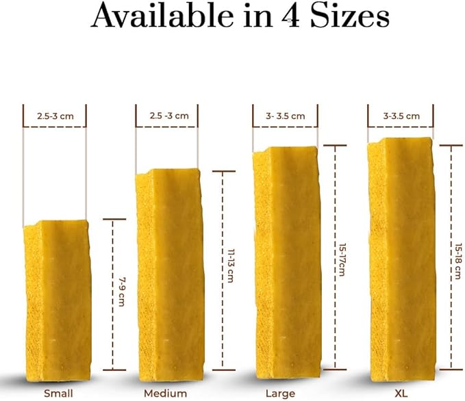Dogsee Turmeric Flavor Himalayan Yak Cheese Dental Chews for Dogs 1lb (Medium - 6 Chews) | Anti-inflammatory | No Grain, No Gluten | Odorless Dog Treats