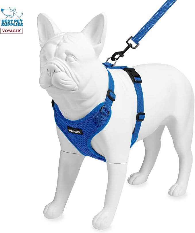 Voyager Step-in Lock Dog Harness w Reflective Dog Leash Combo Set with Neoprene Handle 5ft - Supports Small, Medium and Large Breed Puppies/Cats by Best Pet Supplies - Royal Blue, M