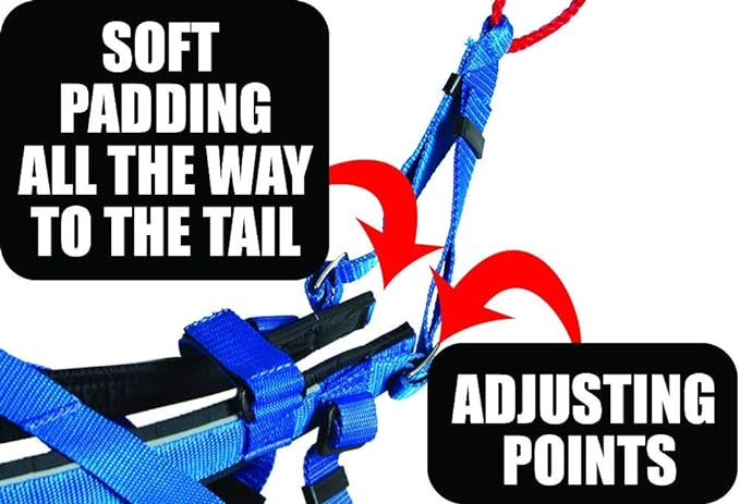 Neewa Adjustable Racing Harness (Small, Blue) - Ideal for Dog Pull with Bike, Skateboard, Rollerblade, Cart, Canicross