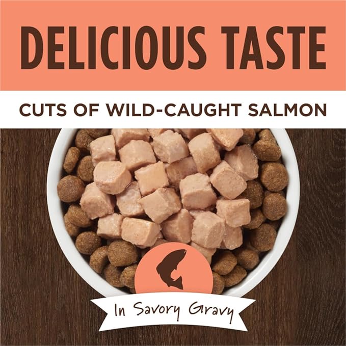 Nature's Variety Instinct Healthy Cravings Grain Free Real Salmon Recipe Natural Wet Dog Food Topper, 3 Ounce (Pack of 24)