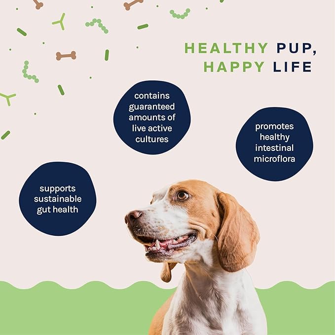 Good Trouble Pets Probiotic Supplement for Dogs - Chicken Flavor, 30 Chews - Enhanced Digestive Support (Packs of 2)