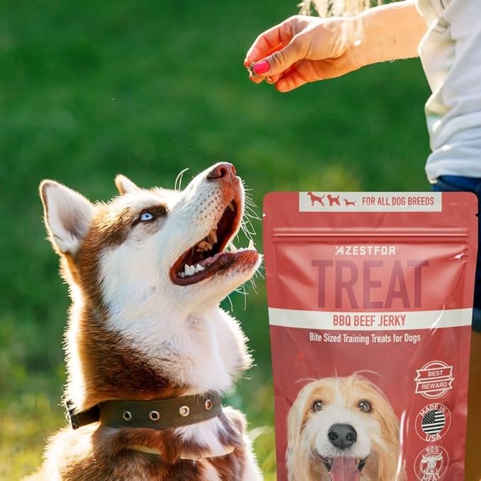 Soft Chews Bite Size Training Treats Made in USA, 1lb Slow Roasted BBQ Beef Jerky for Small, Medium & Large Dogs & Puppies Ideal Reward 90% American Meat
