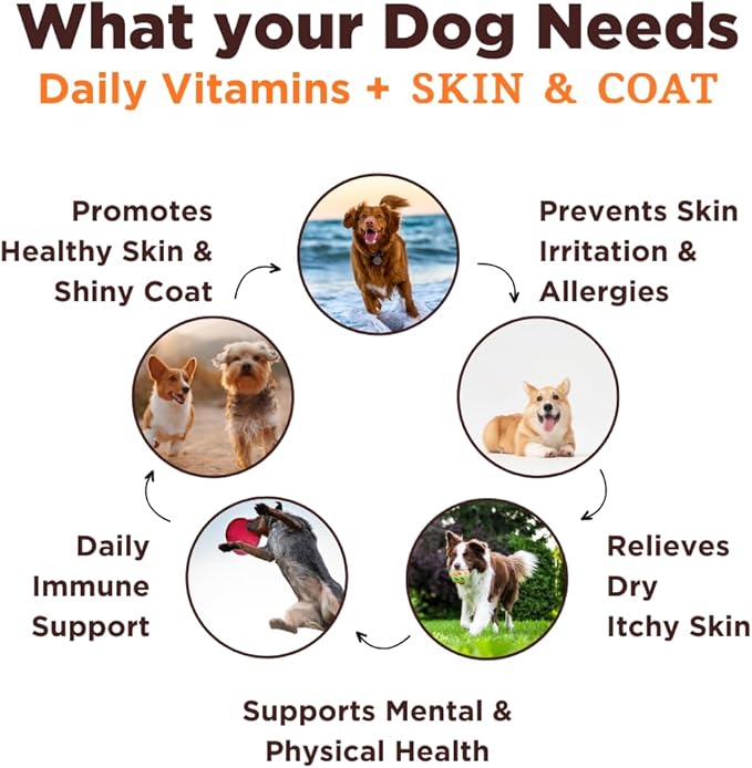 Ultimate Skin & Coat Dog Chews-3X Number of Chews-Advanced Daily, Omega 3, DHA, EPA-Dry Skin Soother - Mission-Proven Globally in Our Counterterrorism Work