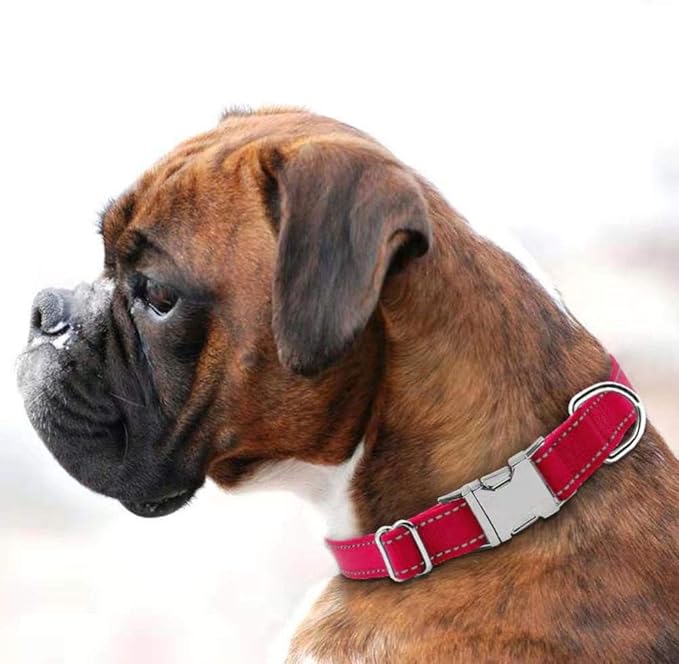 Love Dream Reflective Dog Collar with Metal Buckle, Adjustable Safety Nylon Dog Collars with Heavy Duty Quick Release Buckle for Small Medium Large Dogs, Pet Collar with ID Tag Ring