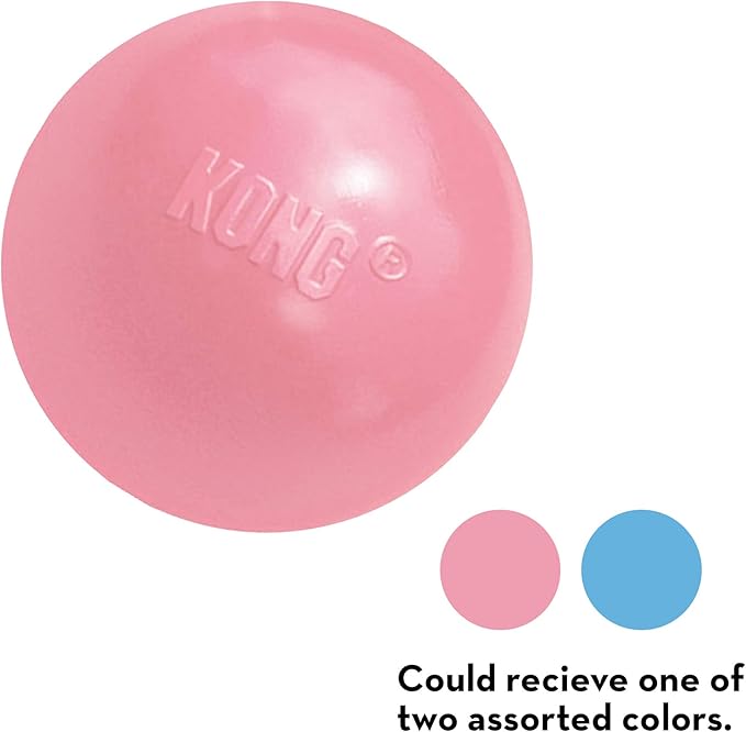KONG Puppy Ball w/Hole - Soft & Durable Activity Ball for Puppies - Dog Toy Supports Healthy Exercise & Interactive Play - Dog Toy for Natural Teething - for Small Puppies - Assorted Colors