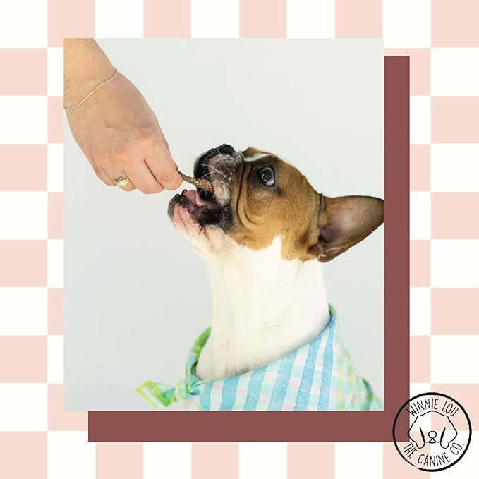 Winnie Lou Jerky Organic Jerky Dog Treats Made in The USA Human Grade Dog Treats Dog Jerky Treats All Natural Dog Treats Healthy Dog Treats (Wild Boar 2 Pack)