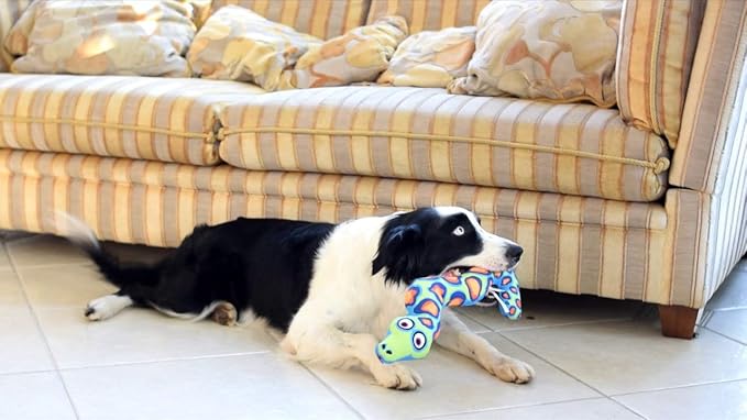 Fat Cat Incredible Strapping Yankers Dog Toy, Snake (Colors May Vary)