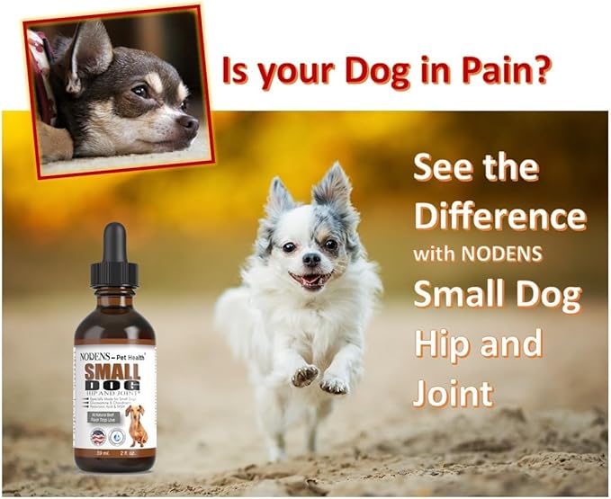 NODENS Small Dog Hip and Joint Liquid Glucosamine for Dogs with Chondroitin & MSM Hyaluronic Acid - Dog Joint Supplement for Dog Joint Flexibility - Glucosamine Natural Pain Relief for Dog Arthritis
