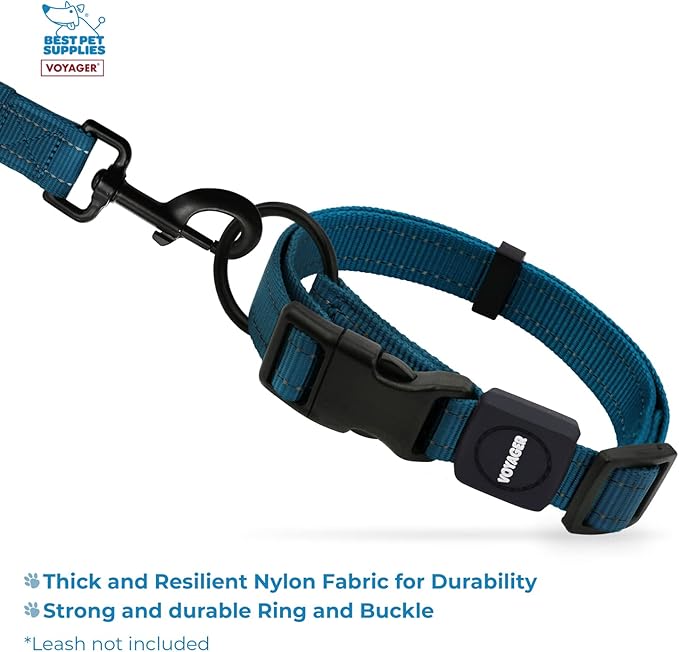 Best Pet Supplies Reflective Dog Collar with Adjustable Length, Heavy-Duty Buckle, and Strong Leash D-Ring, Training, Walking, Jogging Accessory for Small, Medium, and Large Breeds - Blue, S