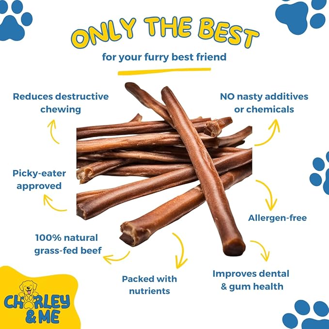 CHARLEY & ME Premium Bully Sticks for Dogs - 100% Natural Beef Dog Treats, Long-Lasting Dog Chew for Aggressive Chewers, Nutritious Joint Support for Dogs 6 Inches (Pack of 12)
