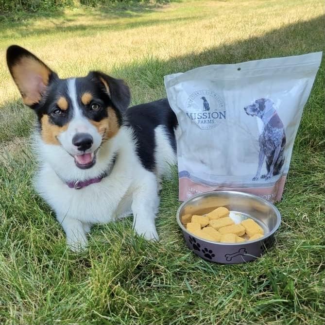 Mission Farms Freeze-Dried Raw Salmon & Pumpkin Formula Dog Food, 12oz Bag
