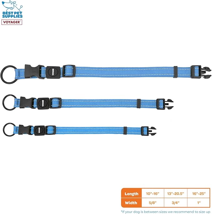 Best Pet Supplies Reflective Dog Collar with Adjustable Length, Heavy-Duty Buckle, and Strong Leash D-Ring, Training, Walking, Jogging Accessory for Small, Medium, and Large Breeds - Baby Blue, M