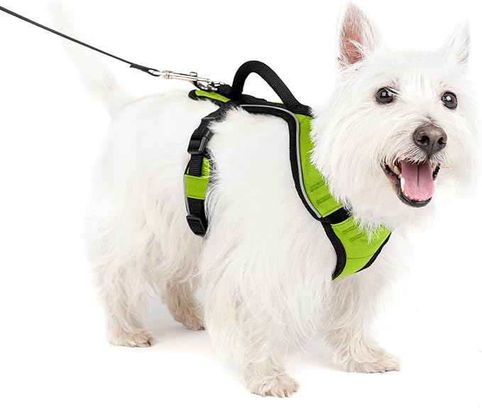PetSafe EasySport Dog Harness, Adjustable Padded Dog Harness with Control Handle and Reflective Piping, From the Makers of the Easy Walk Harness