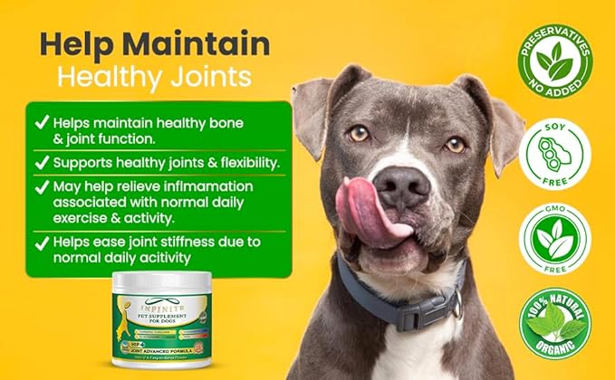 Hip & Joint Supplement Powder. This natural supplement is made with Turmeric Curcumin, Glucosamine, Chondroitin, and MSM, and it rebuilds damaged tissue and relieves inflammation.