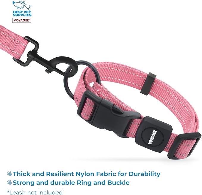 Best Pet Supplies Reflective Dog Collar with Adjustable Length, Heavy-Duty Buckle, and Strong Leash D-Ring, Training, Walking, Jogging Accessory for Small, Medium, and Large Breeds - Pink, M