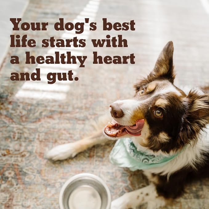 Heart Health for Dogs, Fiber Supplement for Digestive Health, Heart Health & Gut Health, Coat & Joint Health, Made in USA, Only Two Natural Ingredients, 1 Pack