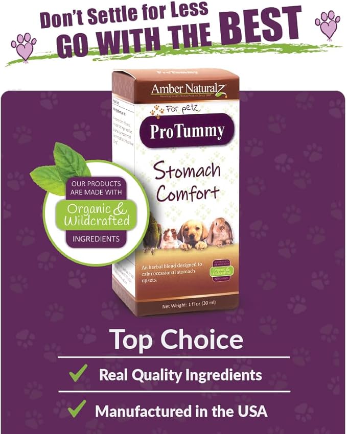 Amber NaturalZ ProTummy Stomach Comfort Herbal Blend for Dogs, Bird, Guinea Pigs, and Rabbits | Herbal Supplement for Occasional Upset Stomach | 1 Fluid Ounce Glass Bottle | Manufactured in The USA