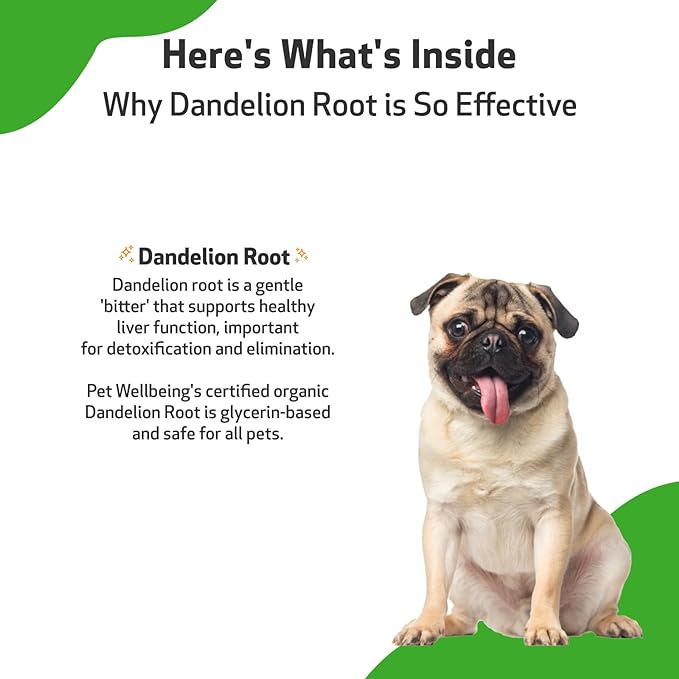 Pet Wellbeing Dandelion Root for Dogs - Liver, Digestive, Cardiovascular, Blood Sugar Support - Natural Herbal Supplement 2 oz (59 ml)