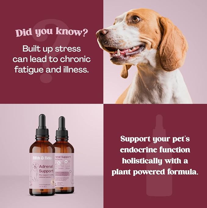 Kidney Support for Dogs - Kidney Support for Cats & Dogs - Vet Approved Dog Kidney Support - Kidney Detox Dog Liver Supplement - Adrenal Support for Dogs -Healthy Kidney Dog Food Additive