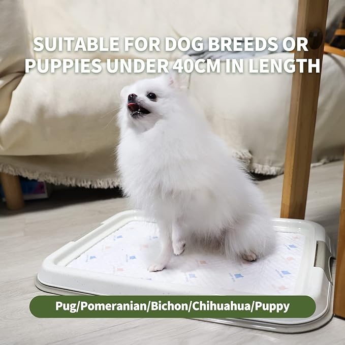 PAWISE Puppy Pads/Dog Pads Holder,Pee Pad Holder,Puppy Pad Holder,Dog Potty Tray for Dog Training for Puppies, Small Dogs & Cats 19.2 x 14 inch