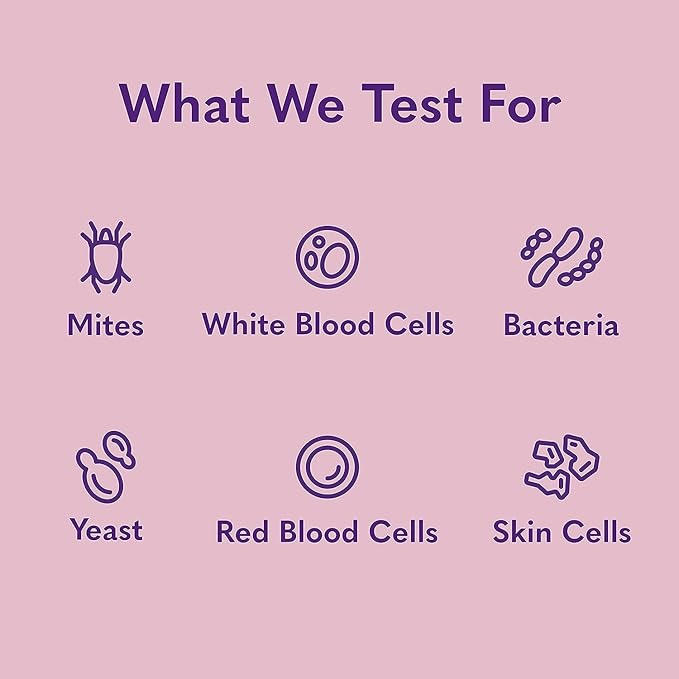 MySimplePetLab Dogs Ear Infection Test Kit | Fast and Accurate Detection of Yeast and other Ear Irritations| Reliable Mail-in Dog Ear Care Test for Smelly, Itchy, or Sore Ears
