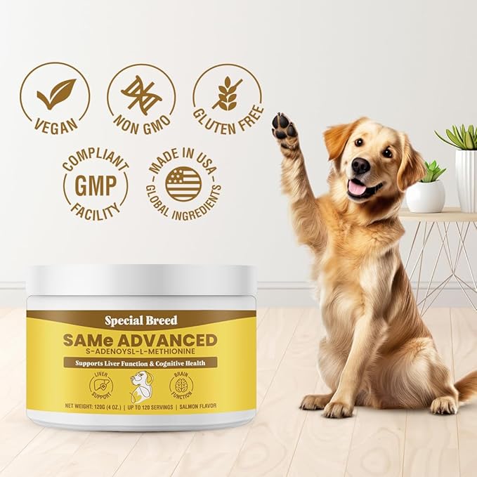 Same for Dogs - S-Adenosyl-L-Methionine, Same Advanced, Liver Support Supplement for Dogs, Brain and Cognitive Support, Sam e for Dogs (120 Grams, 2 Pack)