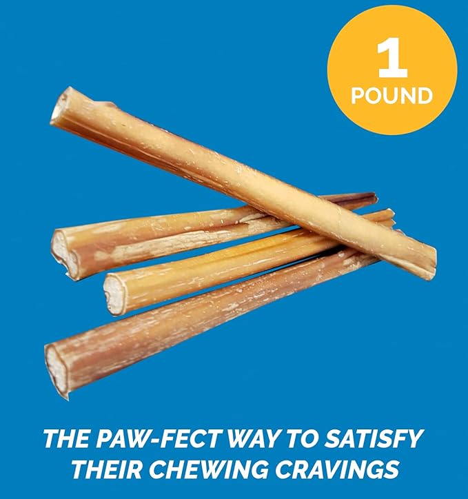 12 Inch Bully Stick for Dogs (1 Pound Bag) 100% Natural Bulk Chews for Dogs & Puppies - Beef Sticks for Small, Medium and Large Dogs