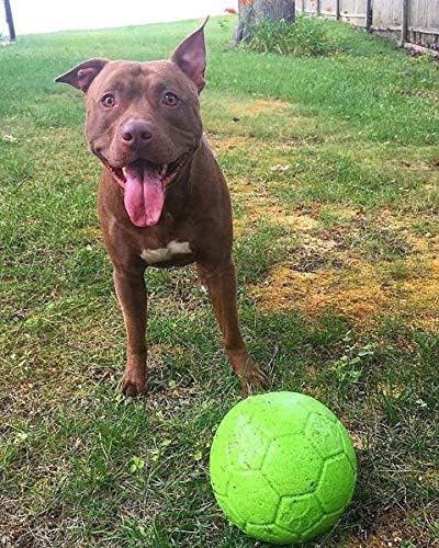 Jolly Pets Large Jolly Soccer Ball Floating-Bouncing Dog Toy; 8" Green Apple
