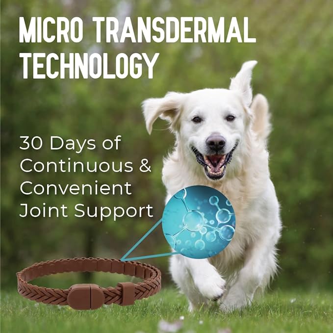 Hip + Joint Mobility Collar for Dogs with Glucosamine, Chondroitin, MSM, and More | Convenient & Easy | 30 Days of Continuous Support | Water Resistant (Med/Large)