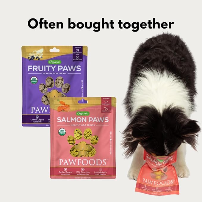 Salmon Dog Treats - Organic Dog Treats with Salmon - Shiny Coat Healthy Skin, Omega 3 & 6, Low Calorie Dog Training Treats, Healthy Dog Treats - Approx. 60 Treats Per Bag - 170g - Made in USA
