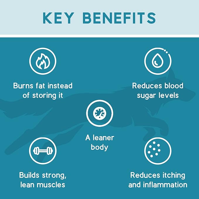 Ketona Salmon Recipe Adult Dry Dog Food, Natural, Low Carb (Only 5%), High Protein (46%), Grain-Free, The Nutrition of a Raw Diet with The Cost and Convenience of a Kibble; 24.2 lb
