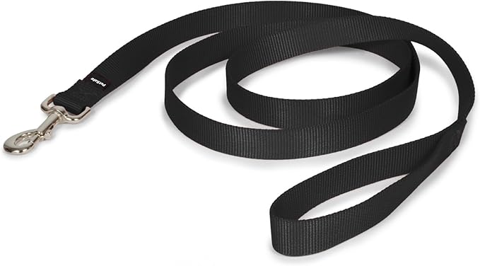 PetSafe Nylon Dog Leash - Strong, Durable, Traditional Style Leash with Easy to Use Bolt Snap - 1 in. x 6 ft., Black