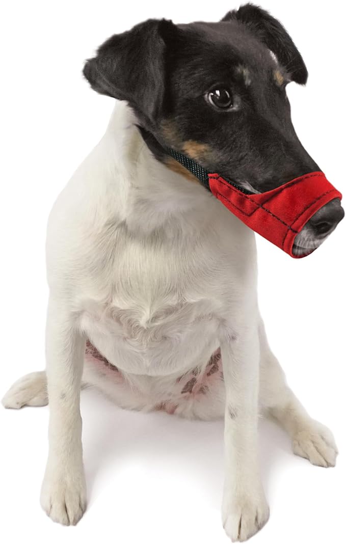 JorVet Muzzle for Dogs to Prevent Biting – Nylon Dog Muzzle Ideal for Pet Salons, Everyday Walks – Adjustable and Breathable Soft Muzzle for Small Dogs