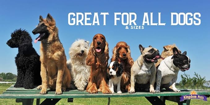 Duck Breast Jerky, Premium Treats for Dogs, 40 oz. Bag
