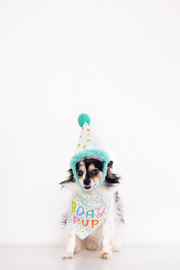 Pearhead Birthday Pup S/M Bandana Hat Set, Pet Birthday Gift, Dog Birthday Party Accessories, Party Hat and Bandana for Dogs, Pet Owner Must Have Accessories, Small/Medium