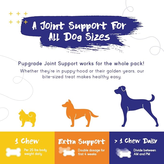 PupGrade Joint Support Supplement for Dogs - Natural Glucosamine Chondroitin with MSM - Hip & Joint Pain Relief - Recommended for Hip Dysplasia, Arthritis & Joint Disease - USA Tested - 60 Chews