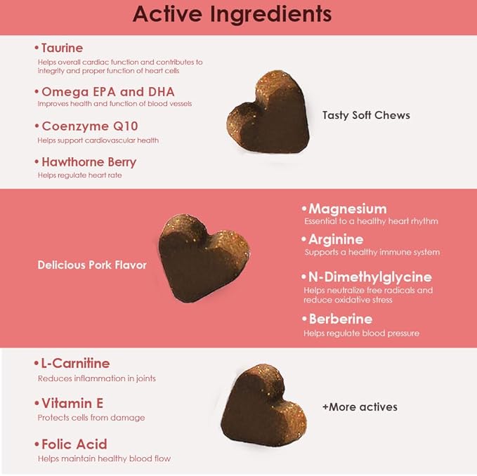 Cardio MAX Heart Support Supplement for Dogs - L-Taurine, L-Carnitine, EPA and DHA, Coenzyme Q10 - Aids Circulatory Strength, Cardiovascular Support, Heart Muscle Function- 60 Soft Chews