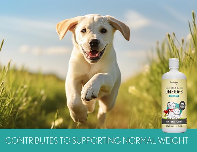 Camelina Oil for Dogs & Cats, 500mL by Olimega Farm | High in Omega-3 & Vitamin E | Support for Healthy Joints, Coat & Skin | Alternative to Salmon Oil for Dogs | Made in Canada | Non-GMO