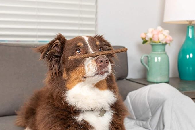 Sizzle Sticks Jerky Dog Treats | 12 oz. Bag | Product of USA - Smells Great | Beef