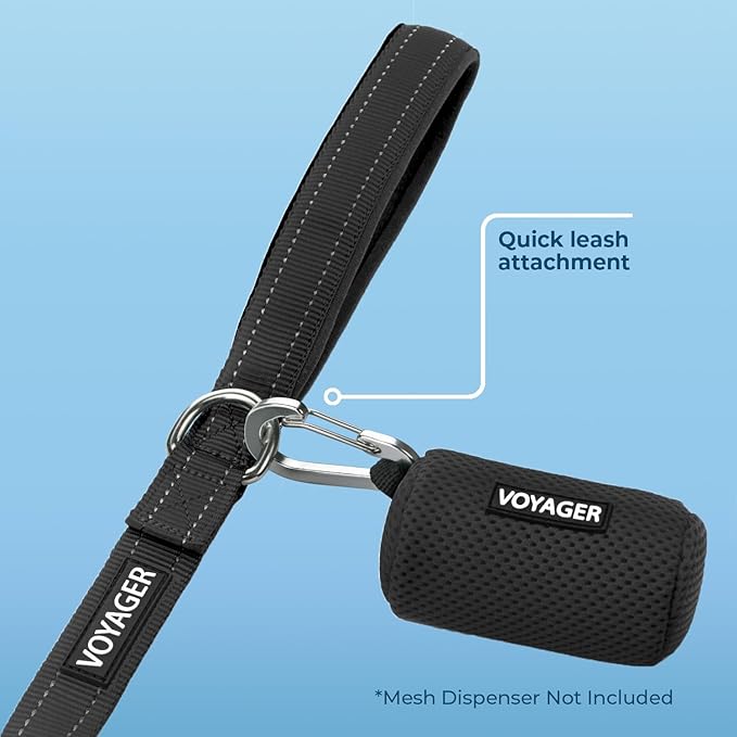 Voyager Reflective Dog Leash with Neoprene Handle, 5ft Long, Supports Small, Medium, and Large Breed Puppies, Cute and Heavy Duty for Walking, Running, and Training - Black (Leash), S