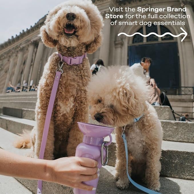 Springer Dog Water Bottle | Portable Travel Water Bottle Dispenser for Dogs - As Seen on Shark Tank | Patented, Leak-Proof Bottles Fill Bowl with Water - Ideal for Walking | BPA-Free 22oz Lilac