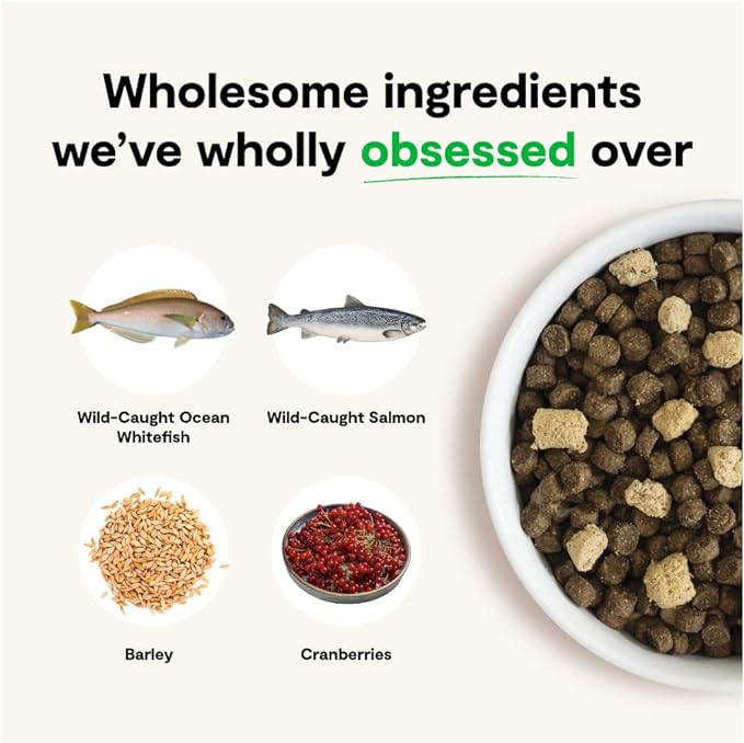 Open Farm RawMix Ancient Grains Wild-Ocean Recipe for Dogs, includes Kibble, Bone Broth, and Freeze Dried Raw, Inspired by The Wild, Humanely Raised Protein and Non-GMO Fruits and Veggies, 3.5 lb