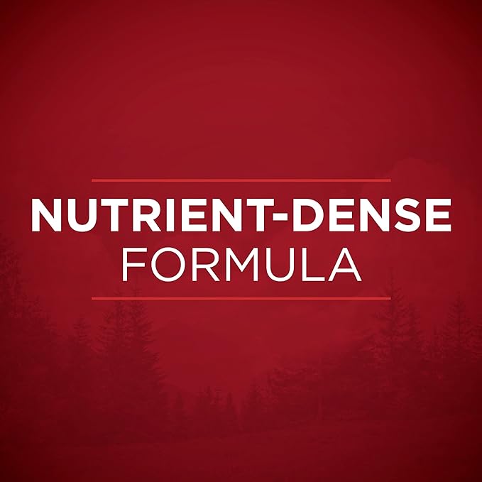 Purina ONE High Protein Wet Dog Food True Instinct Tender Cuts in Dog Food Gravy With Real Beef and Wild-Caught Salmon - (Pack of 12) 13 oz. Cans