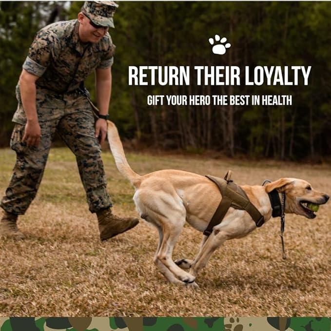 Operation Good Boy - SRE: Hip and Joint Supplement for Pets - 90 Count Soft Chews - 12.7oz - Made Natural Ingredients - Veteran Owned