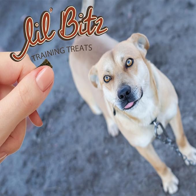Lil' Bitz training Treats for Dogs and Cats (3 Pack, All Dog Sizes - Hickory Smoked Beef)