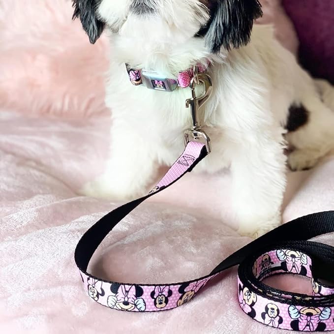 Buckle-Down Pet Leash - Minnie Mouse Expressions Polka Dot Pink/White - 4 Feet Long - 1/2" Wide