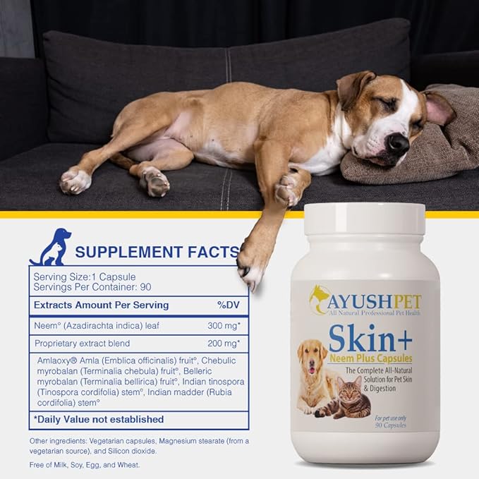 Ayush Pet Skin Plus, Neem Supplement for Healthy Skin and Coat, Supports Gut and Immunity, 90 Capsules